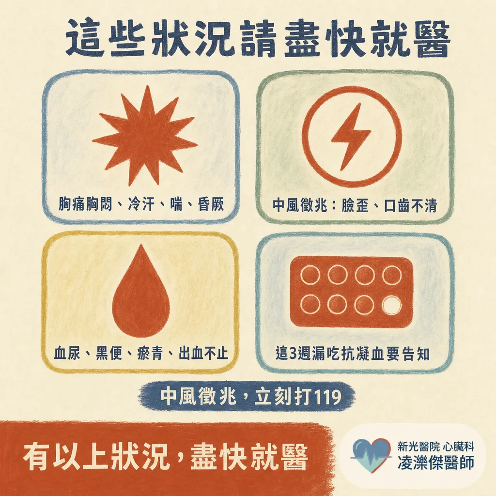 為什麼你需要心房顫動整流（電擊整流）？時機、當天流程與最重要的抗凝血規則 圖卡 8