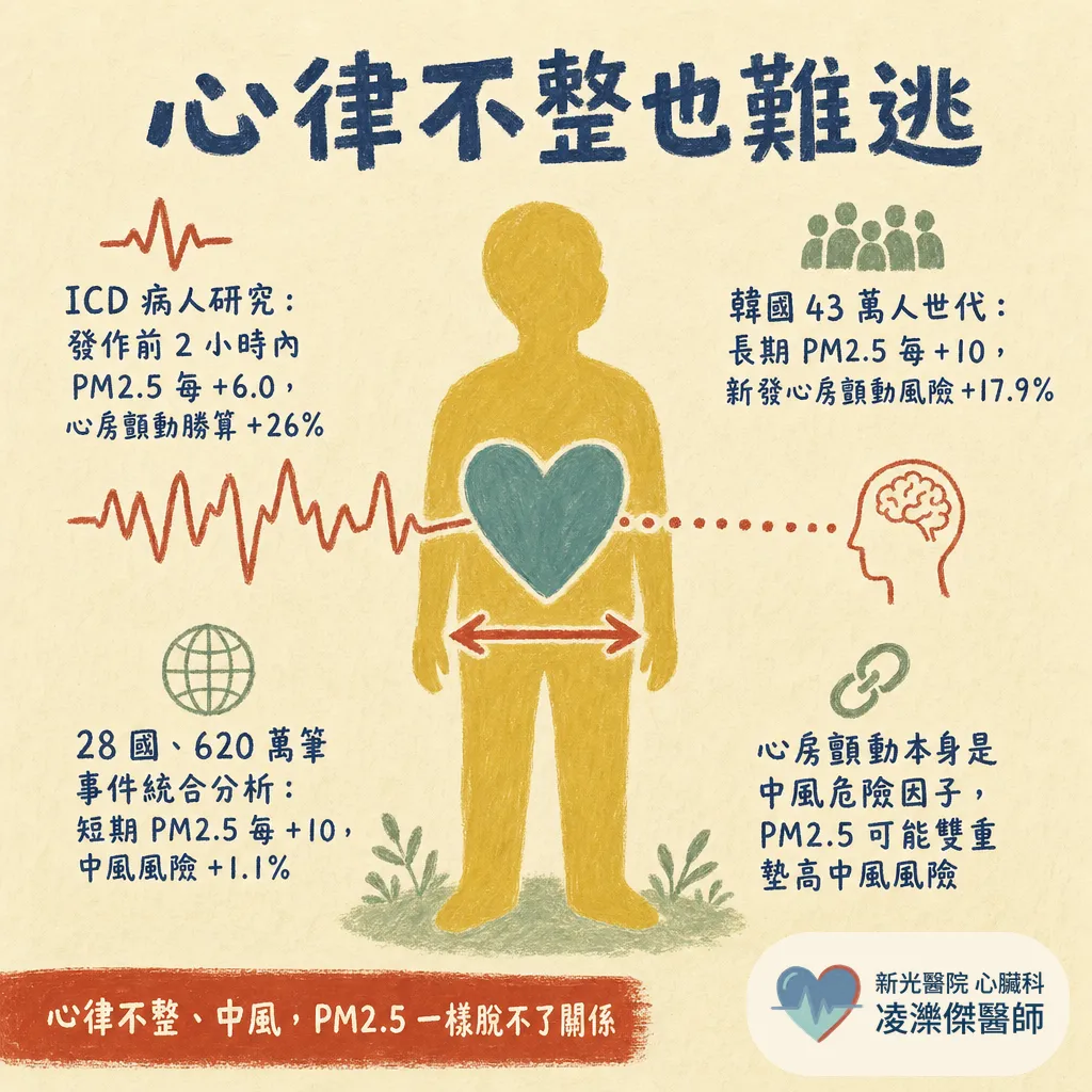 空氣品質亮紅燈：PM2.5 怎麼傷心血管，紫爆天心臟病人怎麼自保 圖卡 5
