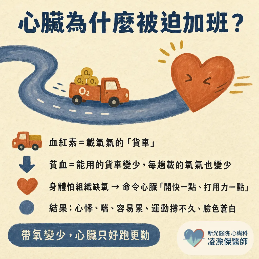 體力變差、胸悶……竟然是貧血？ 圖卡 2