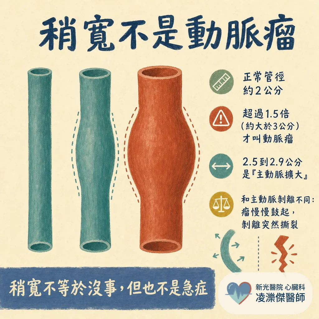 健檢說「主動脈有點寬」是動脈瘤嗎?誰該篩檢、多大要處理 圖卡 2