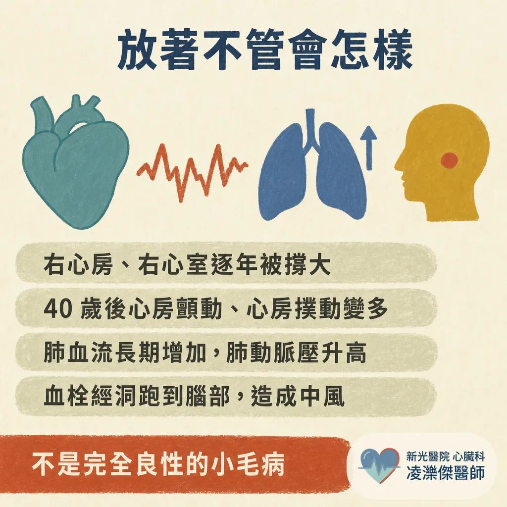 健檢聽到心雜音,才發現心房中膈缺損?成年才抓到的心臟「破洞」該不該關,心臟科醫師說清楚 圖卡 4