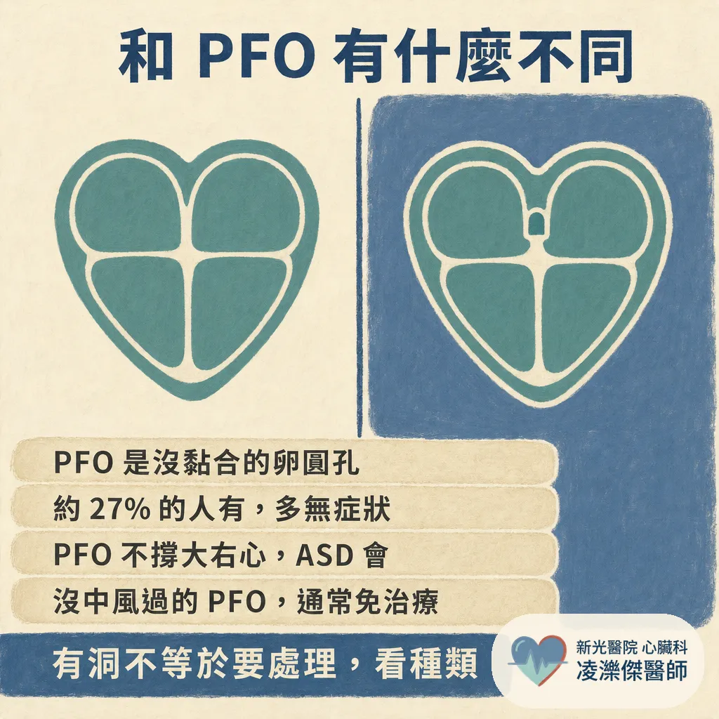 健檢聽到心雜音，才發現心房中膈缺損？成年才抓到的心臟「破洞」該不該關，心臟科醫師說清楚 圖卡 8