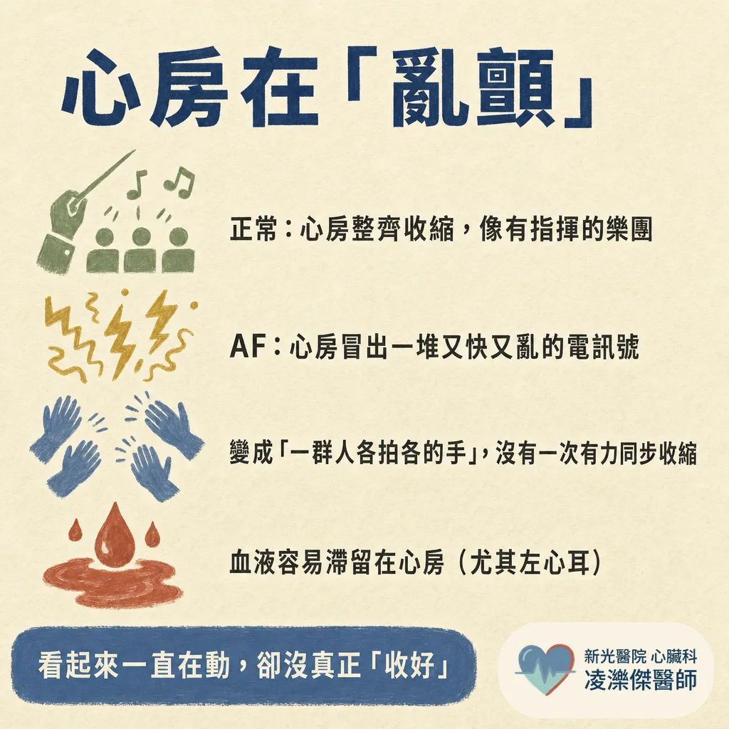 心房顫動是什麼？症狀、中風風險與治療一次看懂 圖卡 2