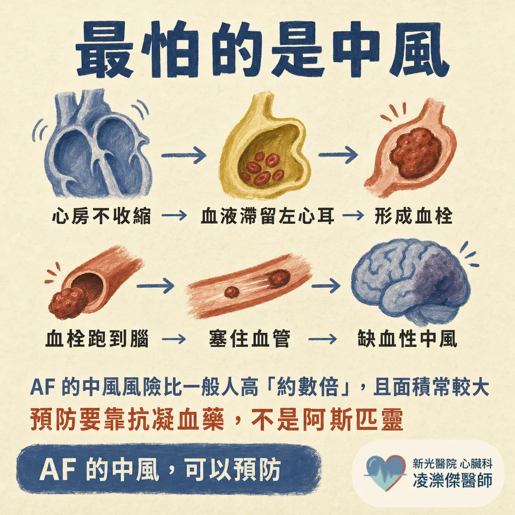 心房顫動是什麼？症狀、中風風險與治療一次看懂 圖卡 4