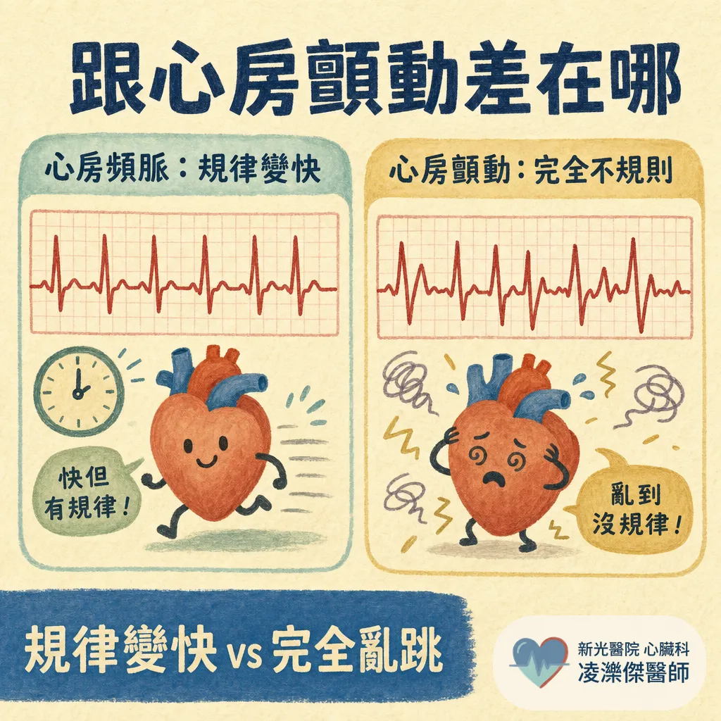 心房頻脈是什麼？認識這種心跳突然變快的心律不整 圖卡 3
