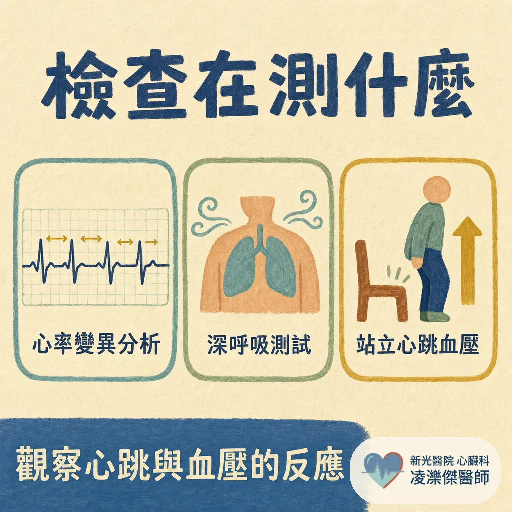 什麼是自律神經活性檢查?醫師為什麼安排我做這個 圖卡 3