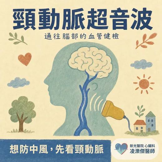 頸動脈超音波在看什麼？誰該做、報告有斑塊怎麼辦，一次看懂