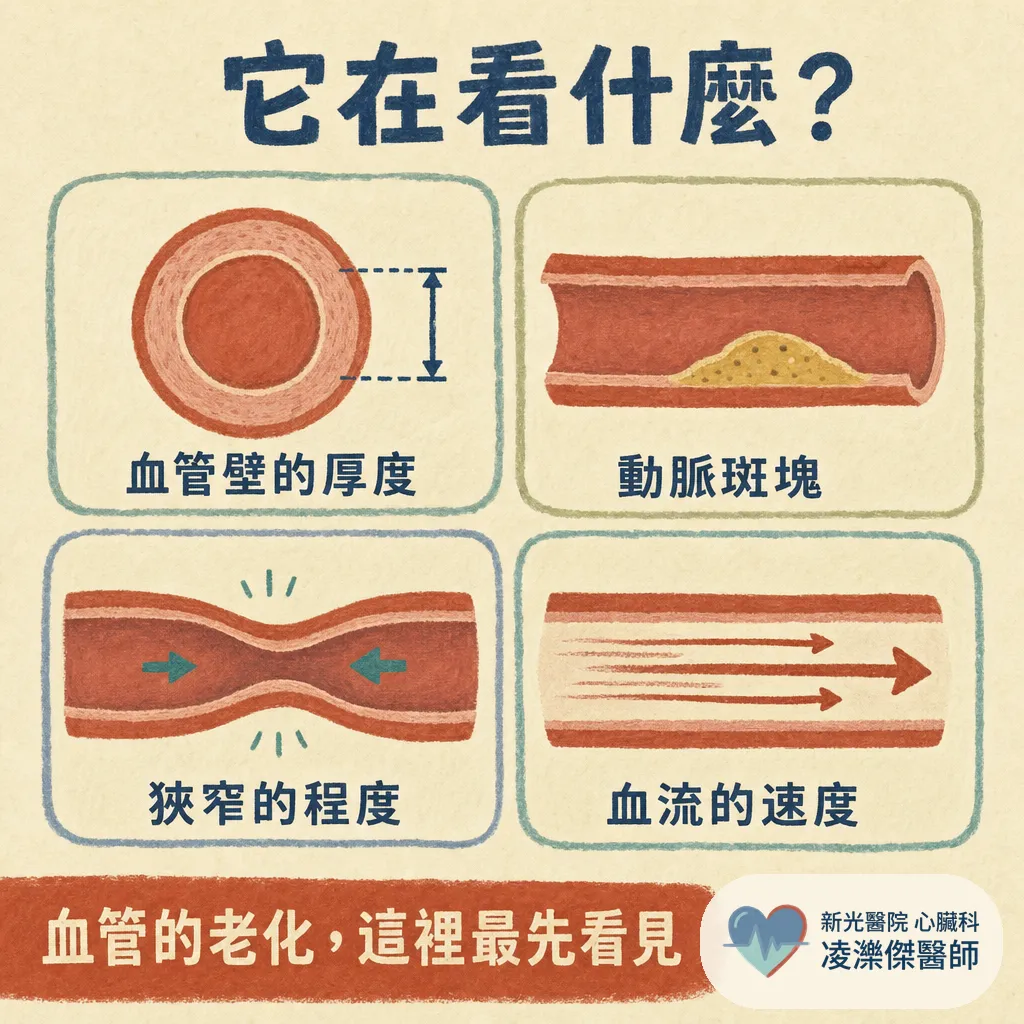 頸動脈超音波在看什麼?誰該做、報告有斑塊怎麼辦,一次看懂 圖卡 2