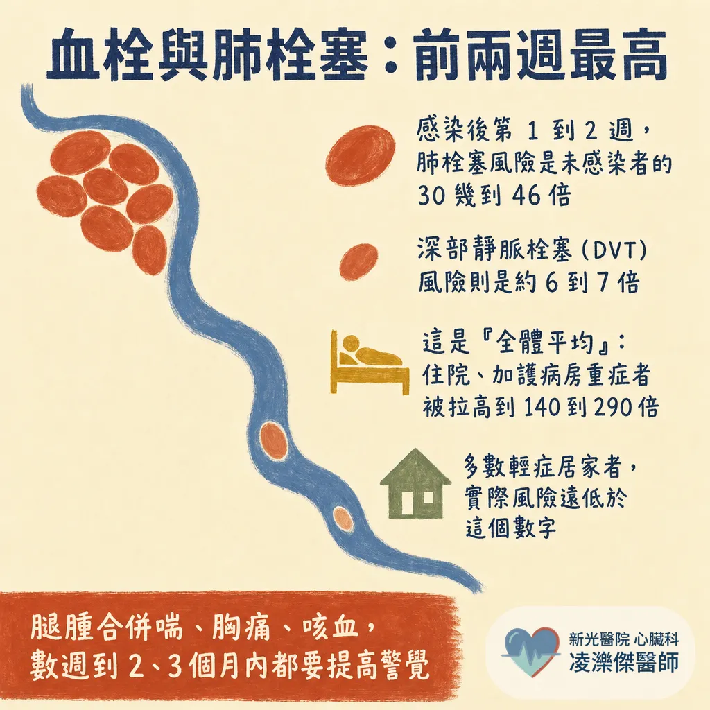 新冠病毒與心臟：急性期心肌炎、血栓，到康復後的長新冠心悸 圖卡 3
