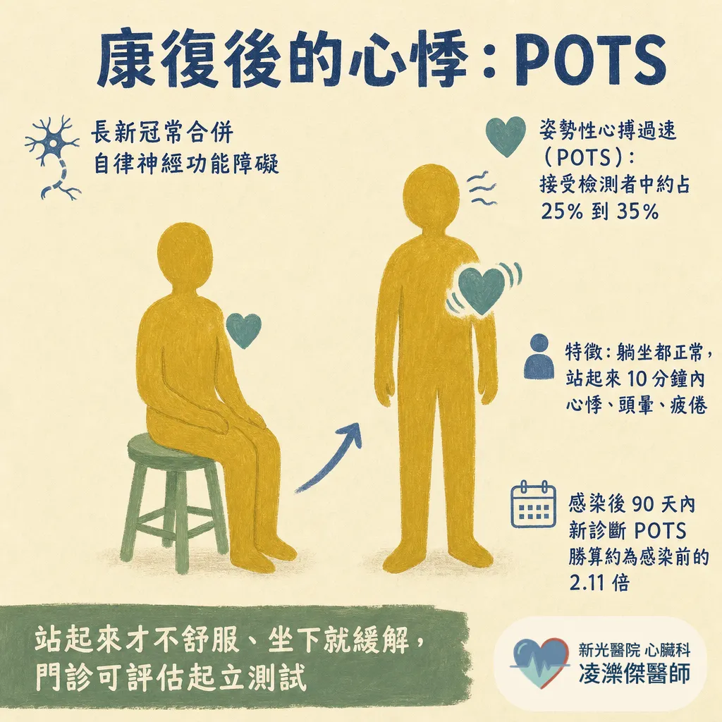 新冠病毒與心臟:急性期心肌炎、血栓,到康復後的長新冠心悸 圖卡 4