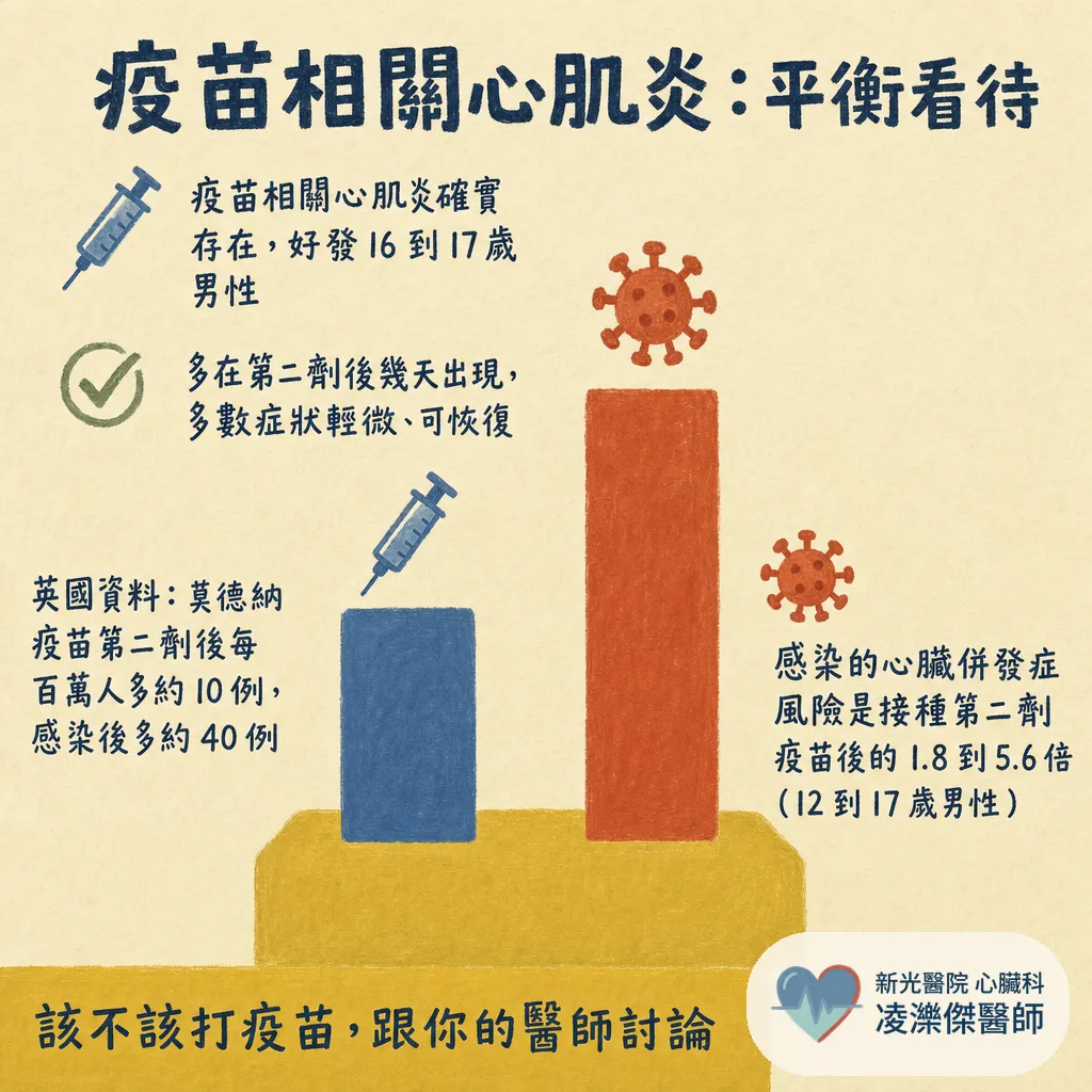 新冠病毒與心臟:急性期心肌炎、血栓,到康復後的長新冠心悸 圖卡 5