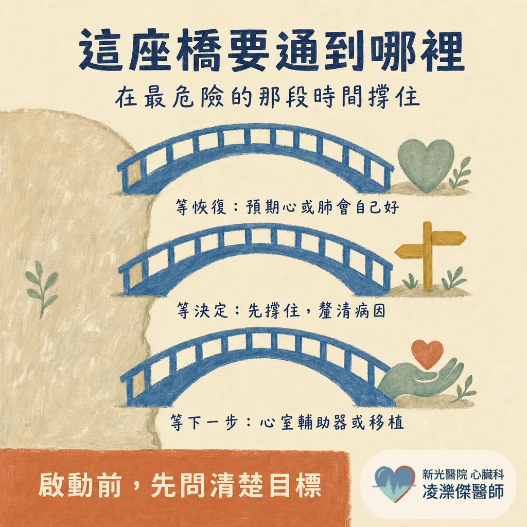 為什麼葉克膜不是一種「治療」？認識 ECMO：它能做什麼、不能做什麼 圖卡 4