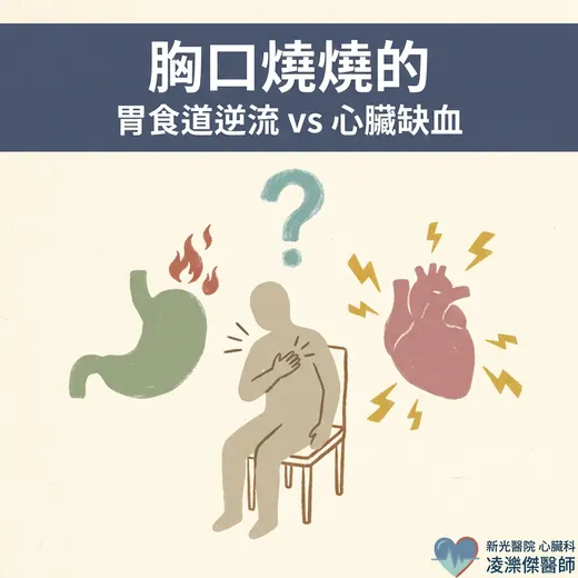 餐後胸口不舒服：胃食道逆流 vs 心臟警訊