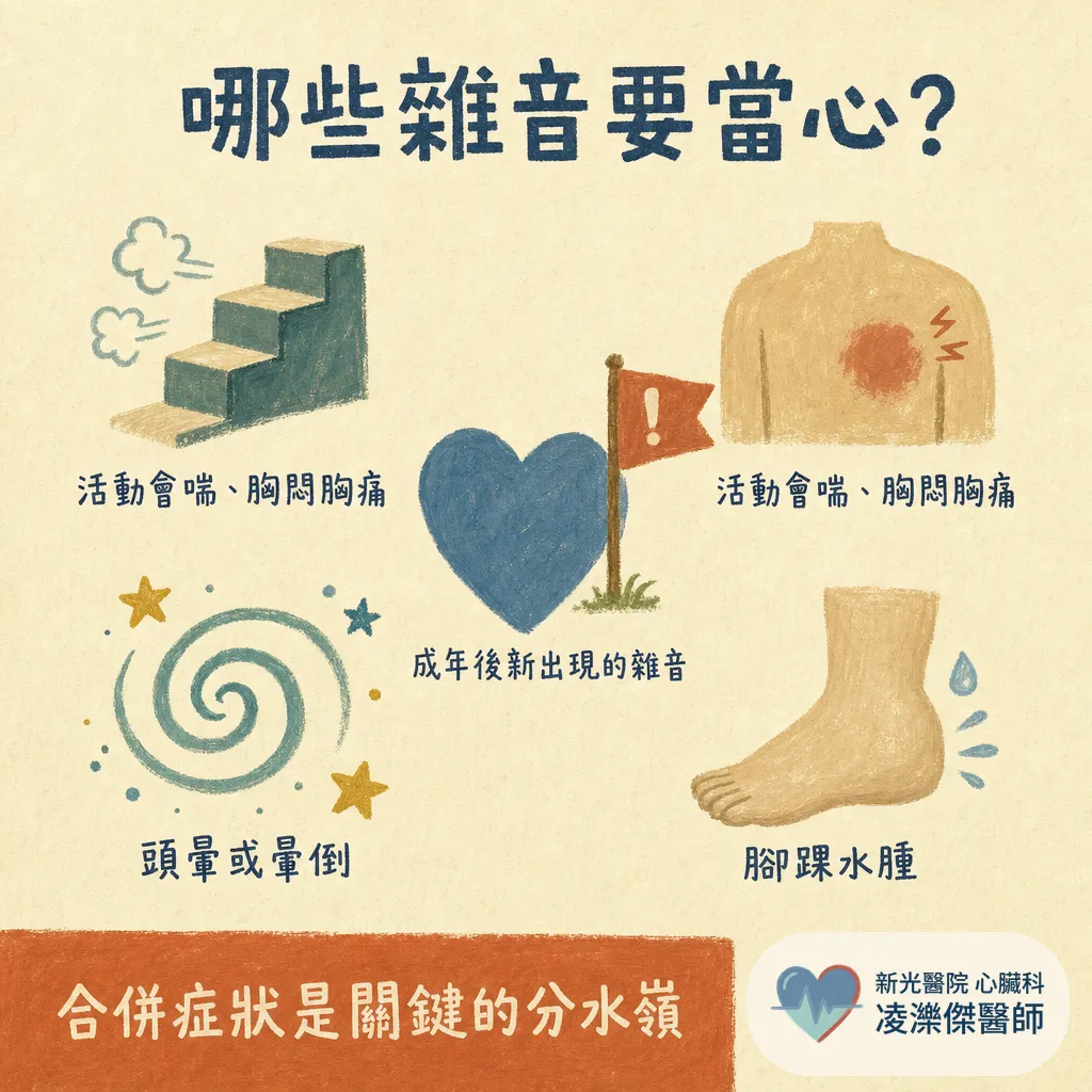 心雜音是什麼？健檢聽到心雜音一定有問題嗎？醫師教你分辨無害與警訊 圖卡 4