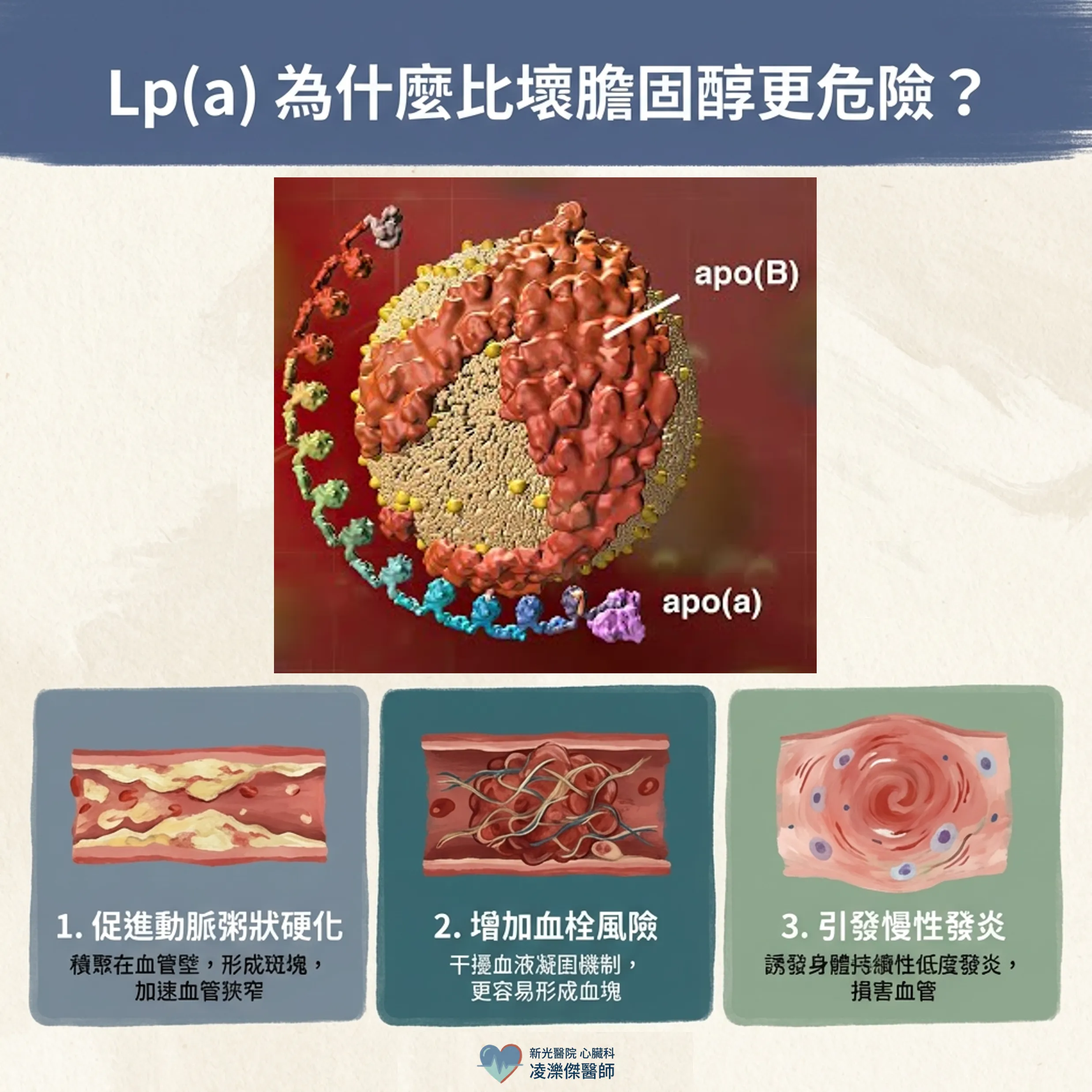 膽固醇正常卻心肌梗塞?你可能沒驗過 Lp(a) 圖卡 2