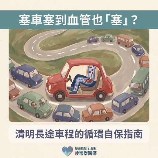 長途車程的循環自保：久坐、悶熱、脫水