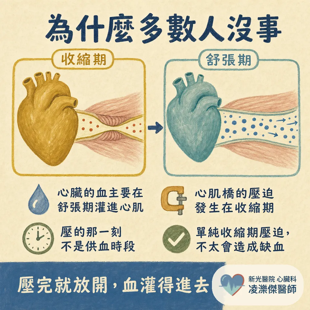 健檢報告出現「心肌橋」,該擔心嗎?心肌橋是什麼、要不要治療一次看懂 圖卡 3