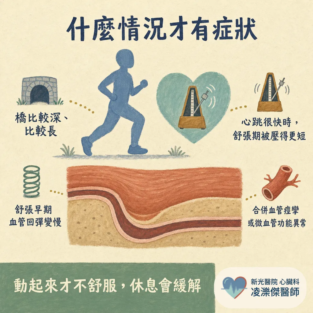 健檢報告出現「心肌橋」，該擔心嗎？心肌橋是什麼、要不要治療一次看懂 圖卡 4