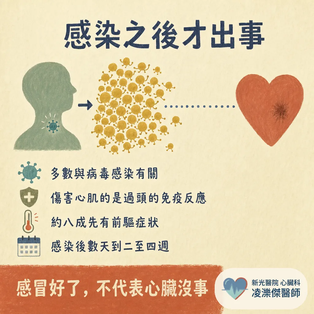 感冒好了，心臟為什麼壞掉？認識心肌炎：症狀、診斷與急性期休息期程 圖卡 2