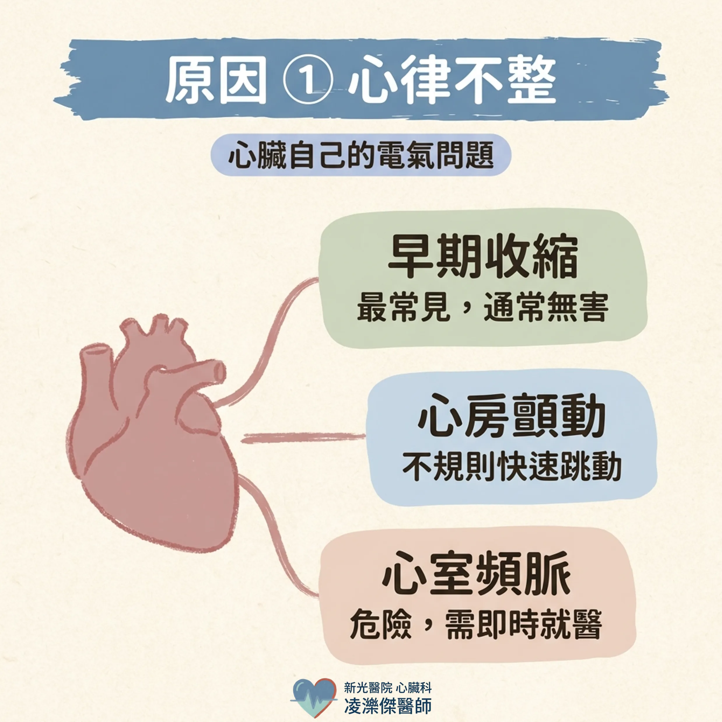 心悸不一定是心臟病:最常見的原因有哪些? 圖卡 3