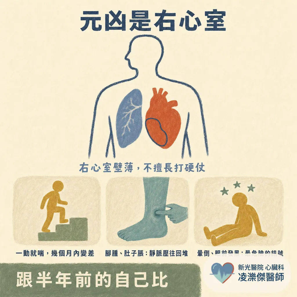 認識肺高壓：一直喘卻查不出原因？「肺血管的高血壓」，量手臂是量不到的 圖卡 3