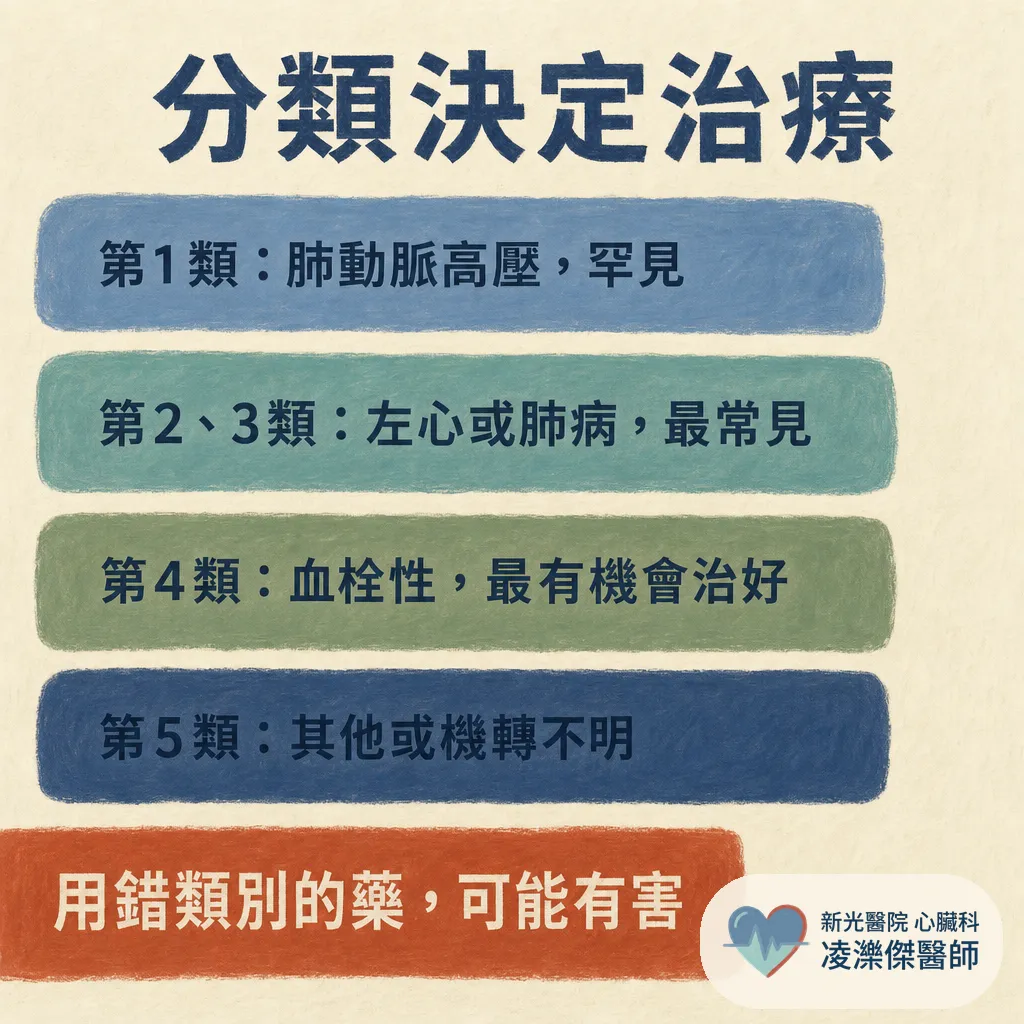 認識肺高壓:一直喘卻查不出原因?「肺血管的高血壓」,量手臂是量不到的 圖卡 4