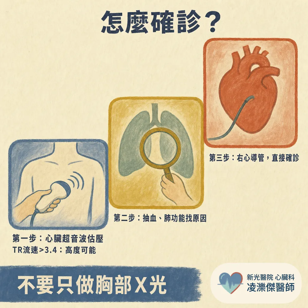 認識肺高壓:一直喘卻查不出原因?「肺血管的高血壓」,量手臂是量不到的 圖卡 7