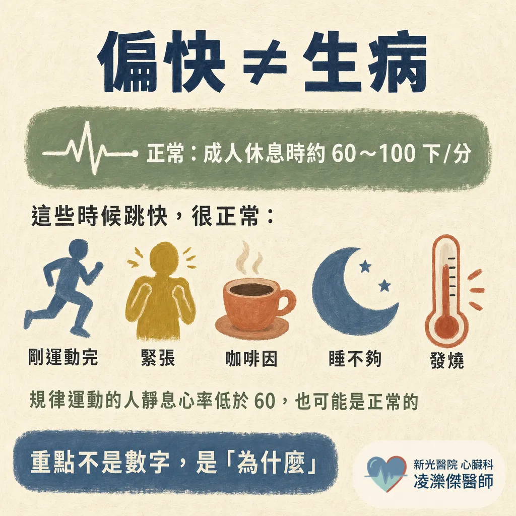 平常心跳偏快,需要處理嗎?先分清「油門」還是「電路」 圖卡 2