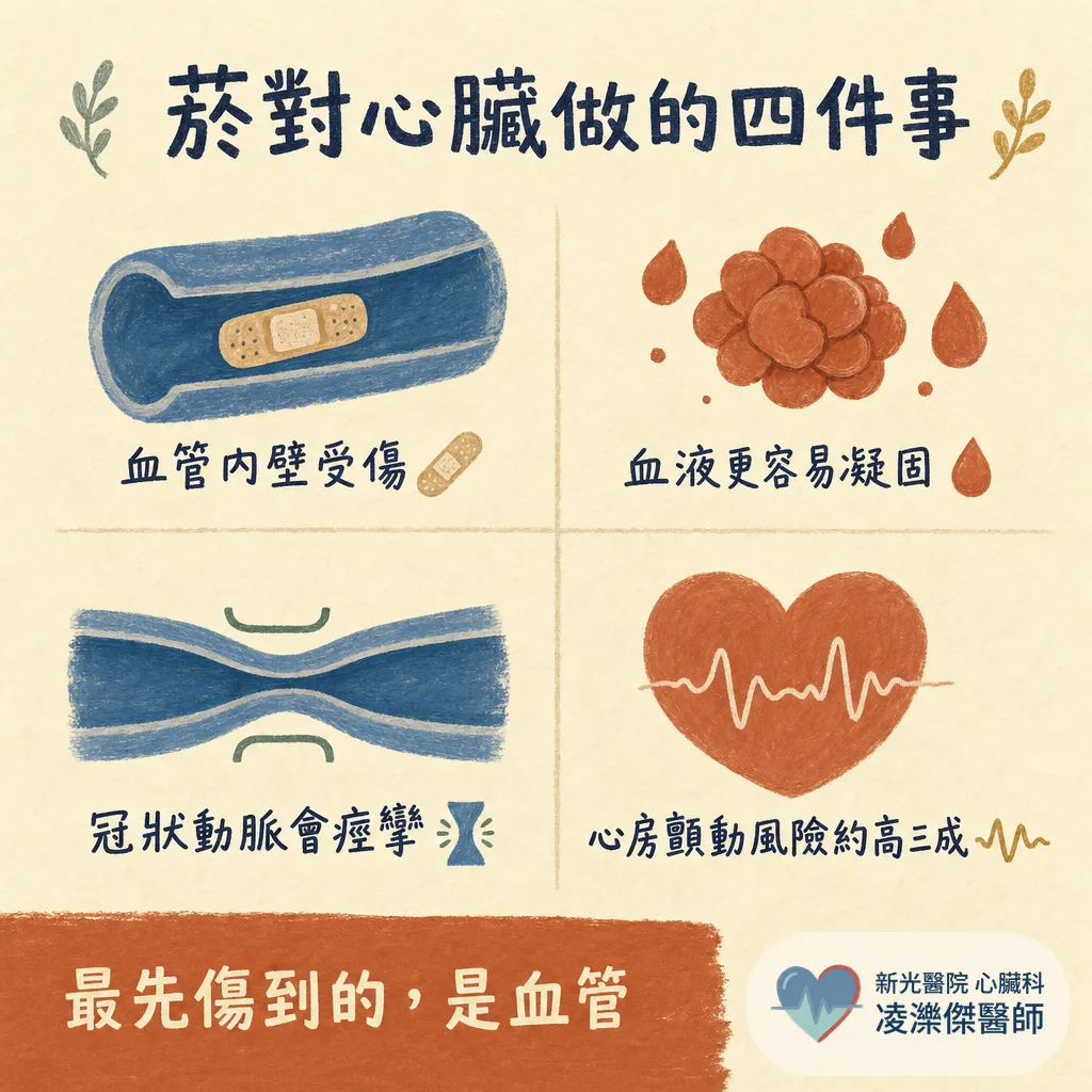 醫師為什麼一直叫我戒菸？抽菸對心臟與血管的傷害、戒菸後的恢復時間軸 圖卡 2