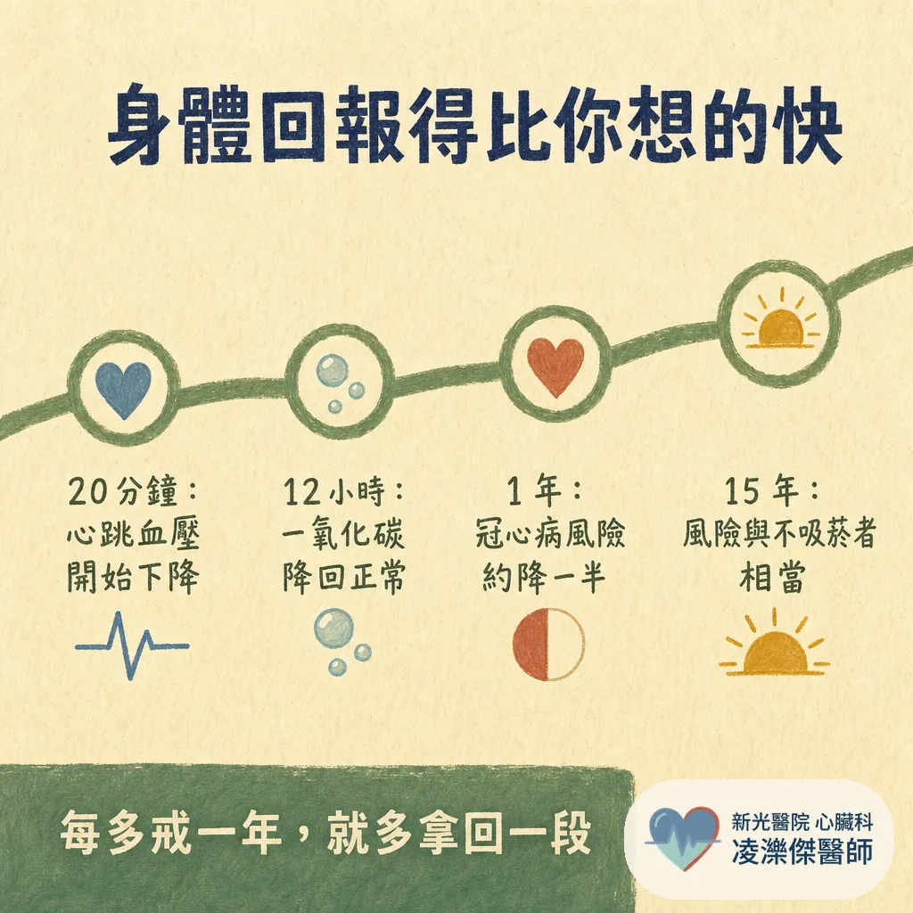 醫師為什麼一直叫我戒菸？抽菸對心臟與血管的傷害、戒菸後的恢復時間軸 圖卡 5