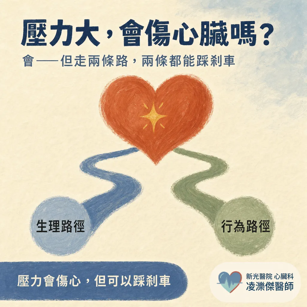 壓力大,心血管風險會增加嗎? 圖卡 1