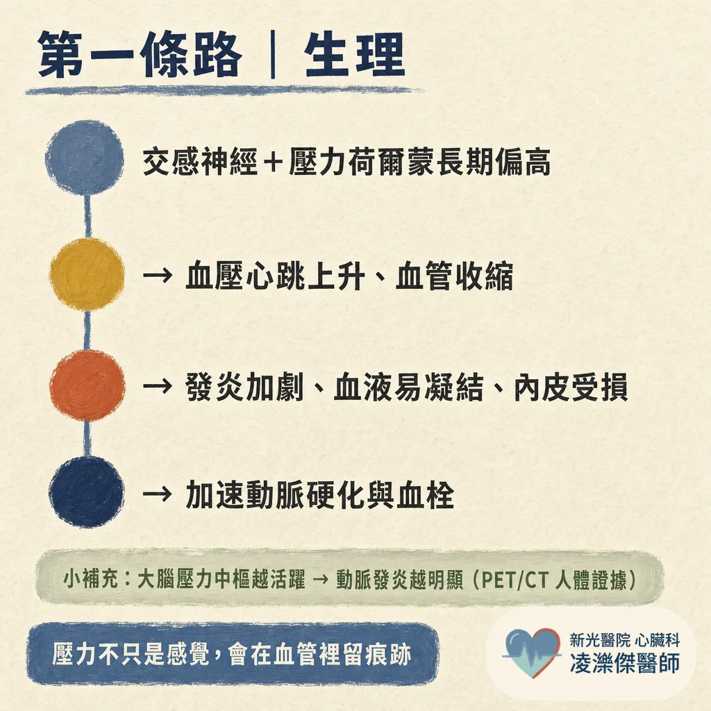 壓力大，心血管風險會增加嗎？ 圖卡 2