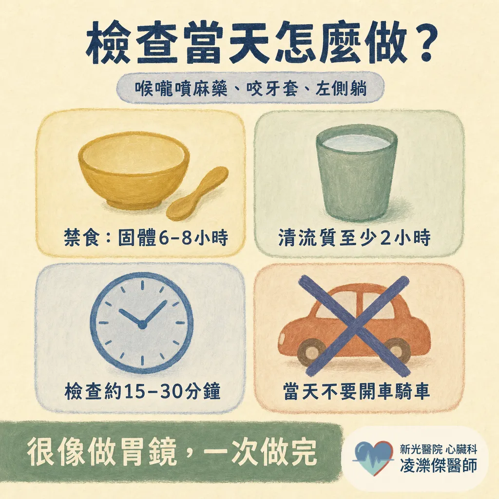 經食道心臟超音波（TEE）會不會很痛？在檢查什麼、流程與安全性一次說清楚 圖卡 5