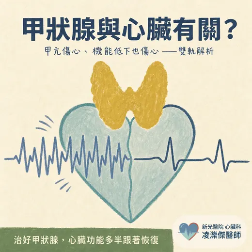 甲狀腺與心臟有關？甲亢傷心、機能低下也傷心，一次看懂雙軌機制
