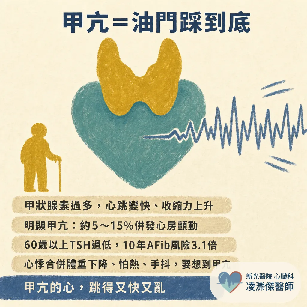 甲狀腺與心臟有關?甲亢傷心、機能低下也傷心,一次看懂雙軌機制 圖卡 2