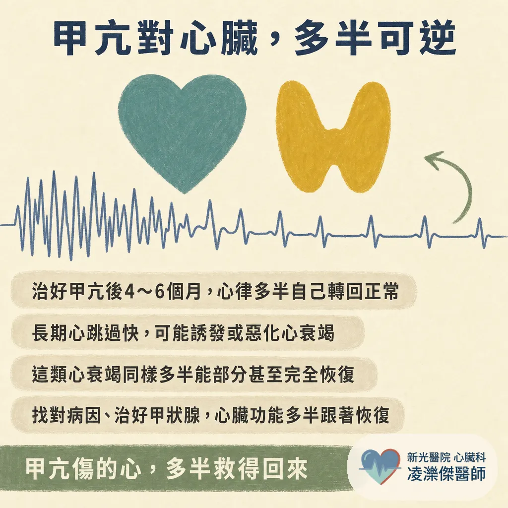 甲狀腺與心臟有關？甲亢傷心、機能低下也傷心，一次看懂雙軌機制 圖卡 3
