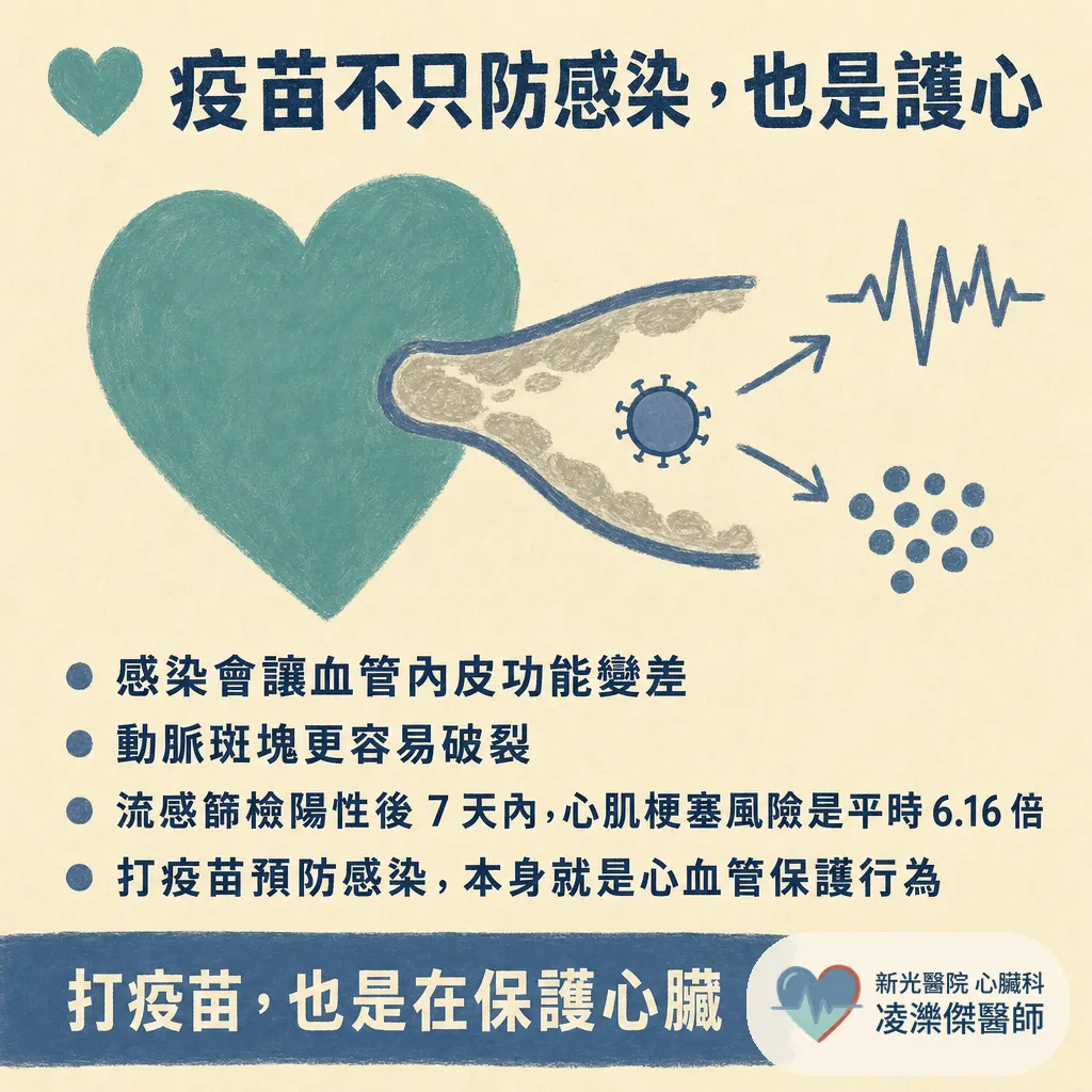 心臟病人的秋冬疫苗清單:流感、肺炎鏈球菌、帶狀疱疹一次打對 圖卡 2